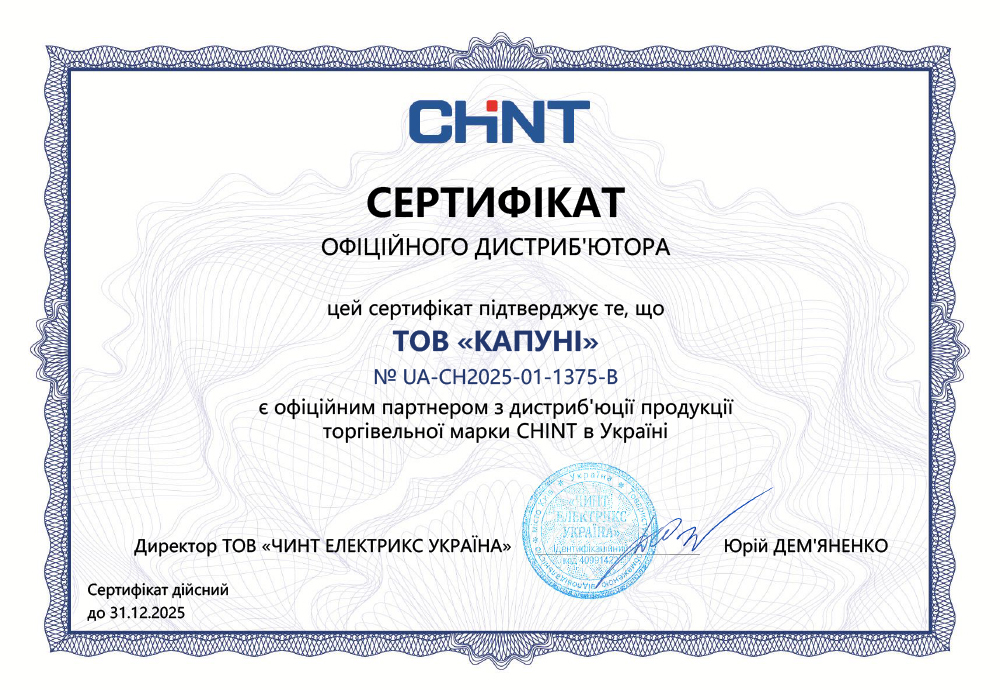 CHINT 2025 Certificate